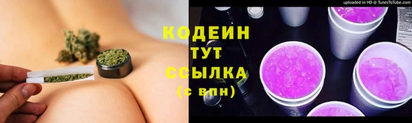 бошки Инта