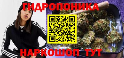 круглые Заводоуковск