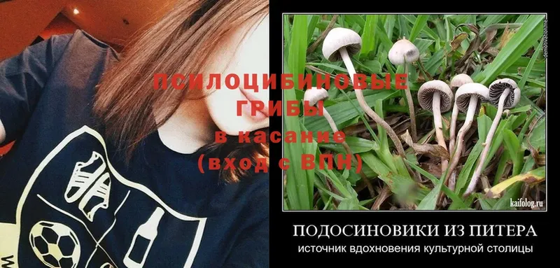 Галлюциногенные грибы MAGIC MUSHROOMS  Лесосибирск 