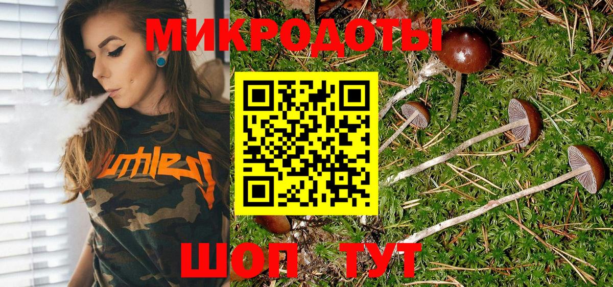 Галлюциногенные грибы Psilocybine cubensis  Вход с VPN  Лесосибирск 
