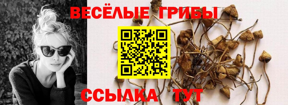 Галлюциногенные грибы GOLDEN TEACHER Лесосибирск