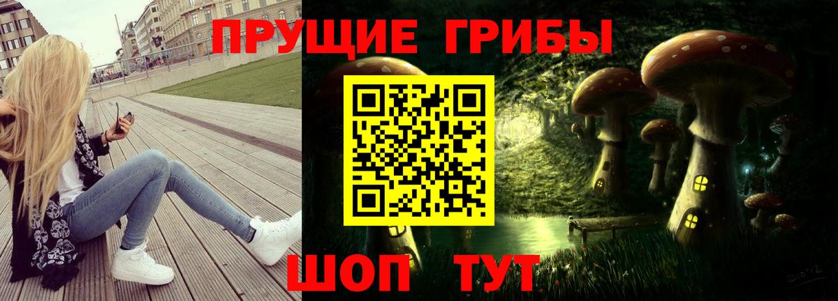 Псилоцибиновые грибы мицелий  Лесосибирск  купить   Галлюциногенные грибы Psilocybine cubensis 